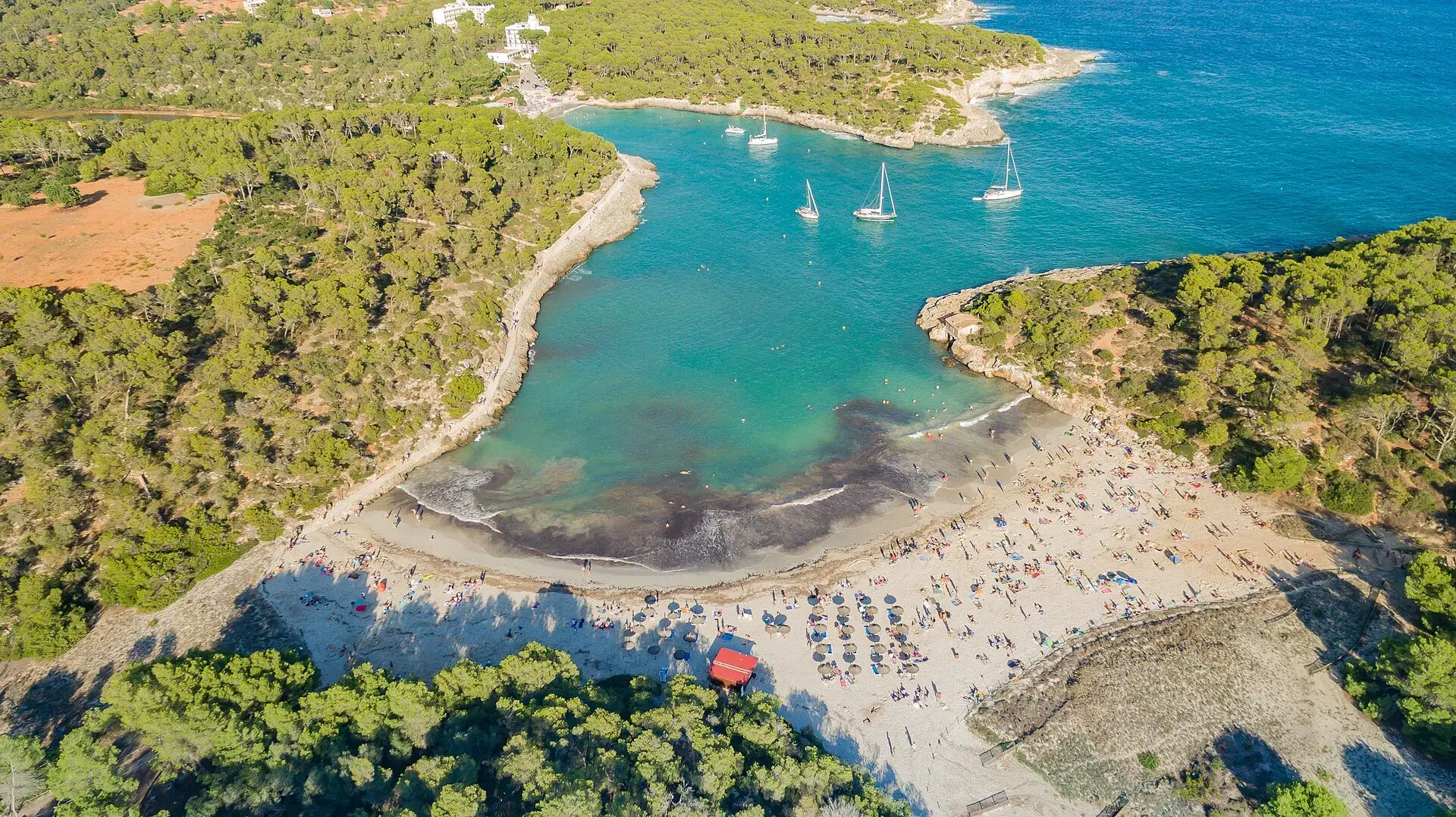 Una guía de calas de Mallorca que te dice cuál está en calma hoy.