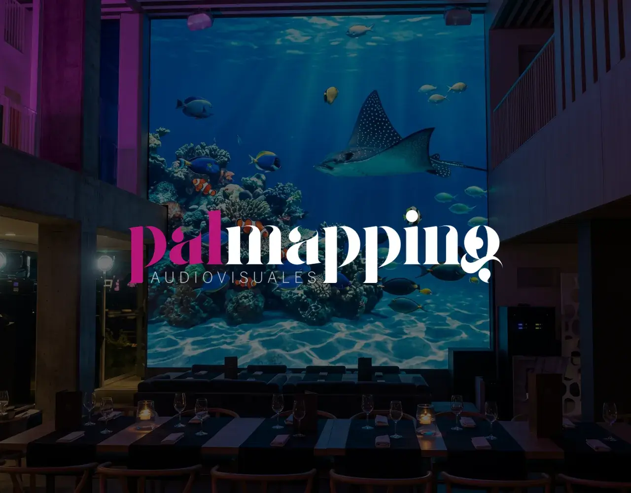 Diseño Web e Identidad de Marca para Palmapping