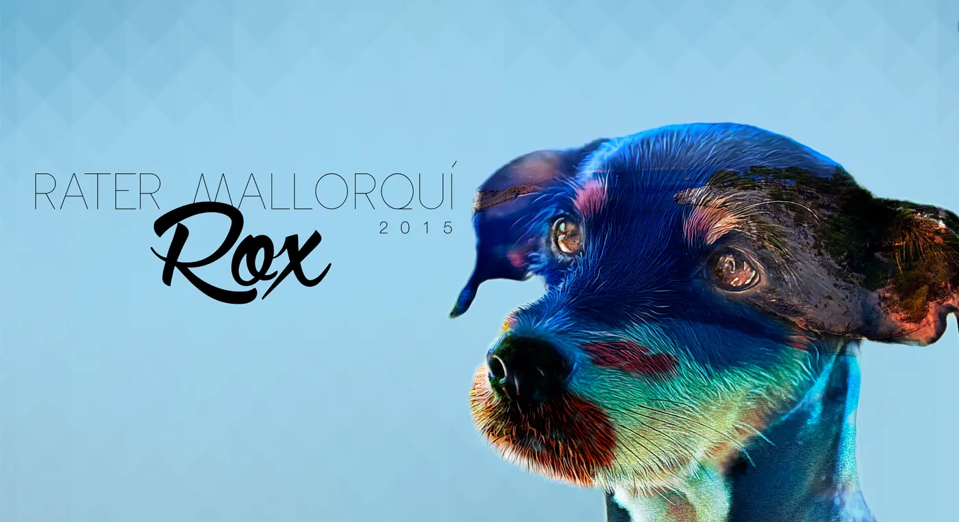 Doble exposición del perro Rox en tonos azules con paisaje superpuesto