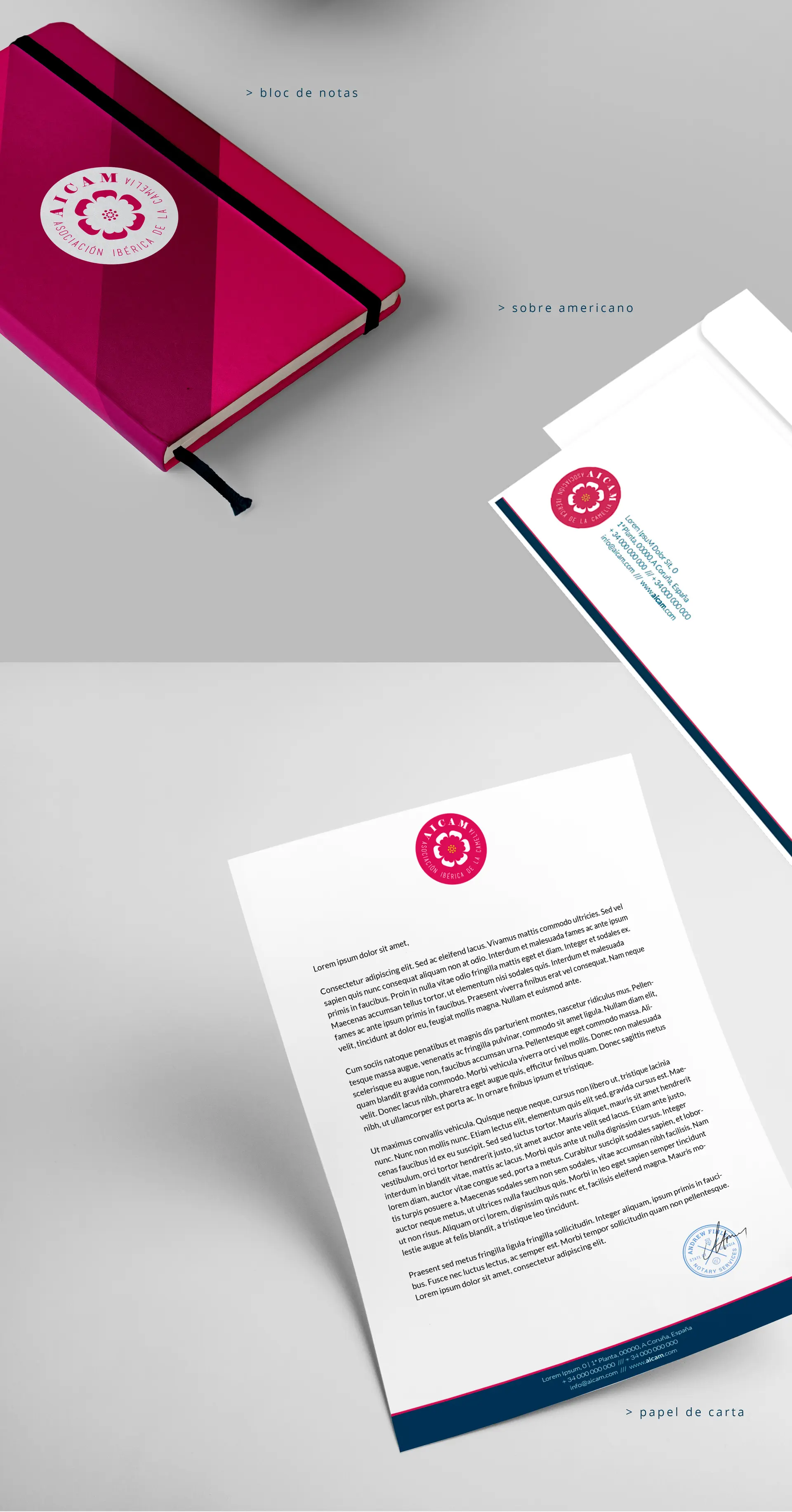 Pages from the AICAM identity manual