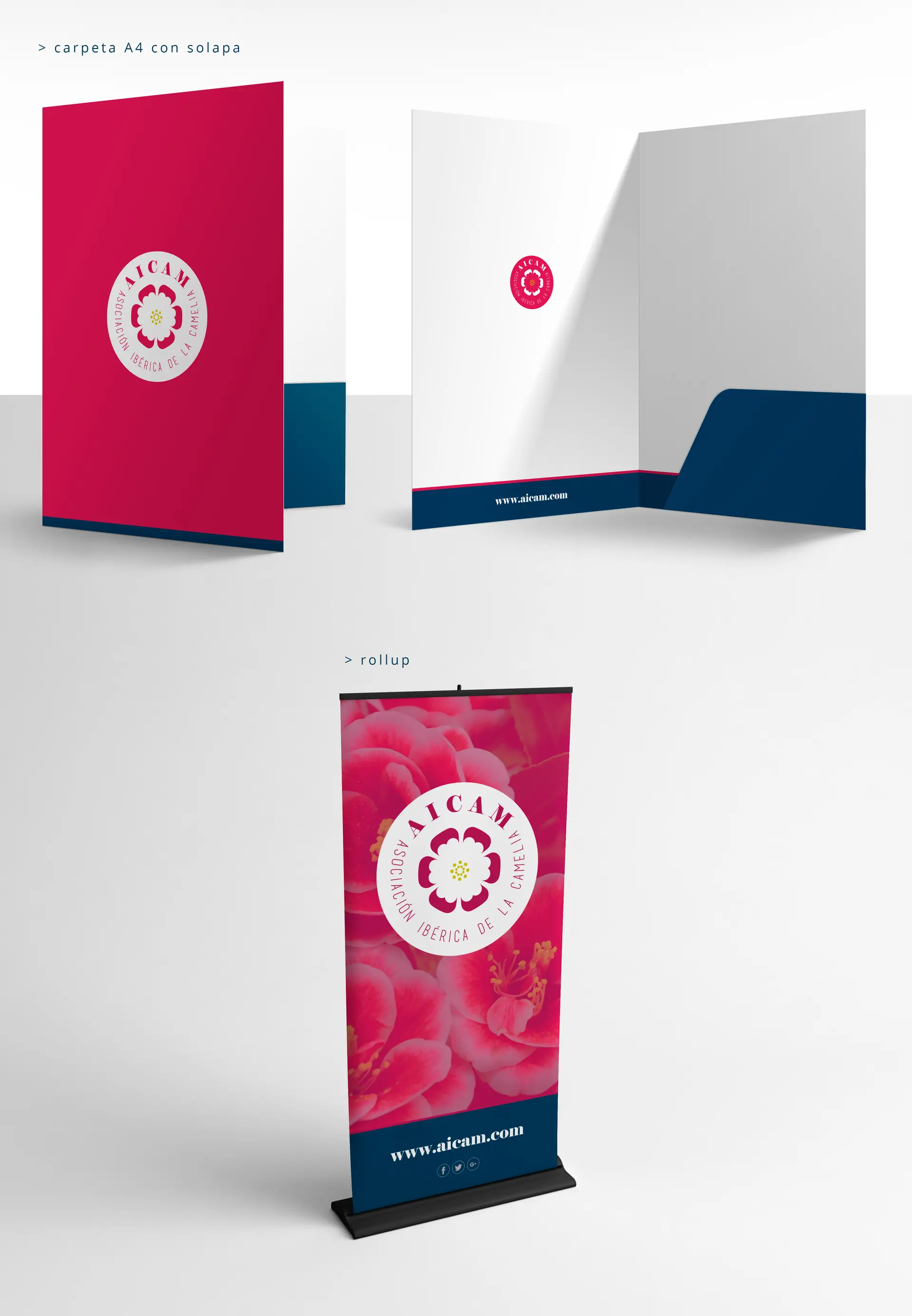 A4 folder with flap and roll-up banner featuring a photograph of pink camellias