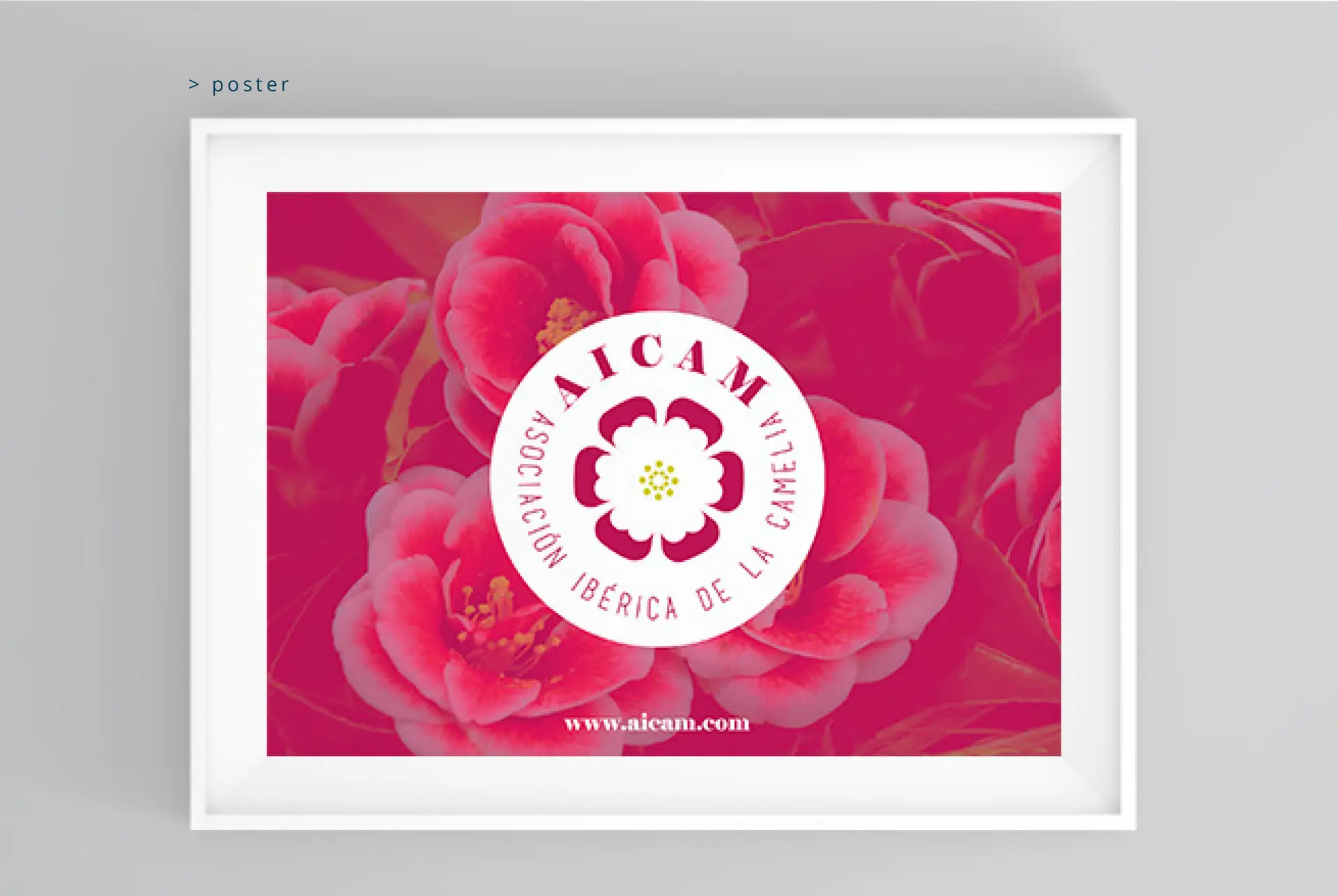 AICAM promotional graphic materials