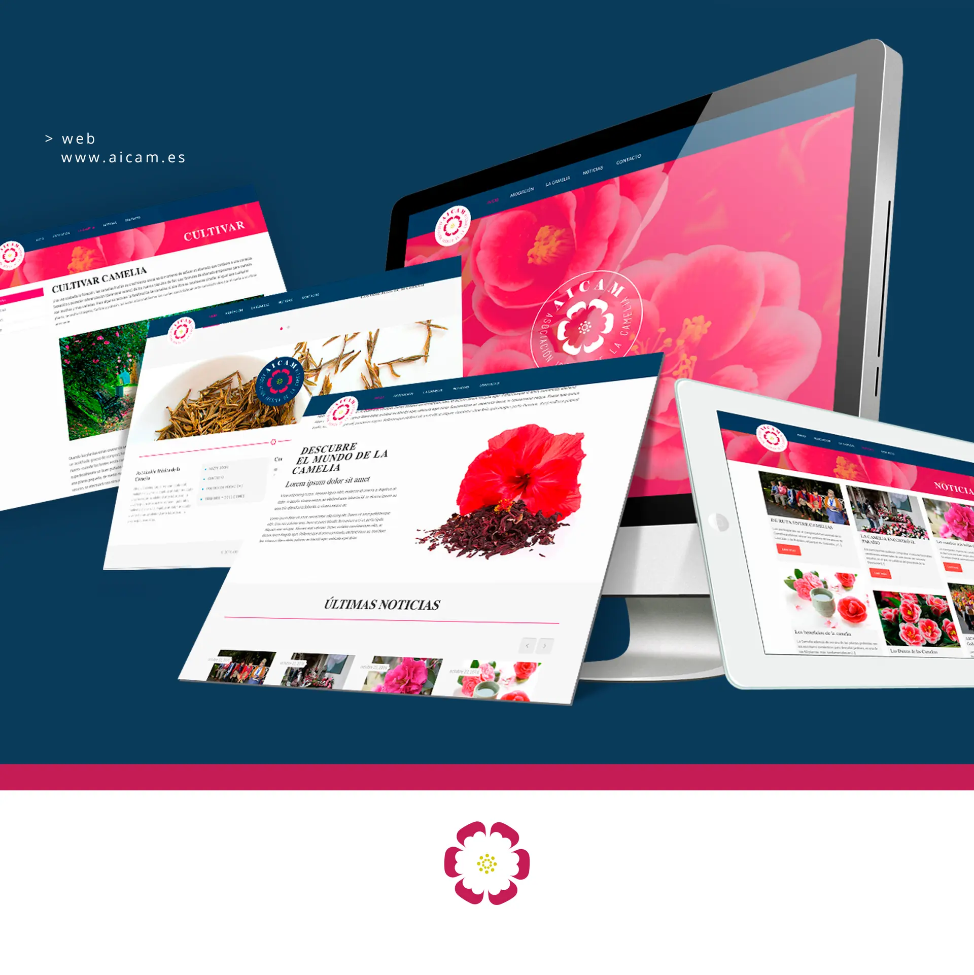 Final result of the AICAM identity