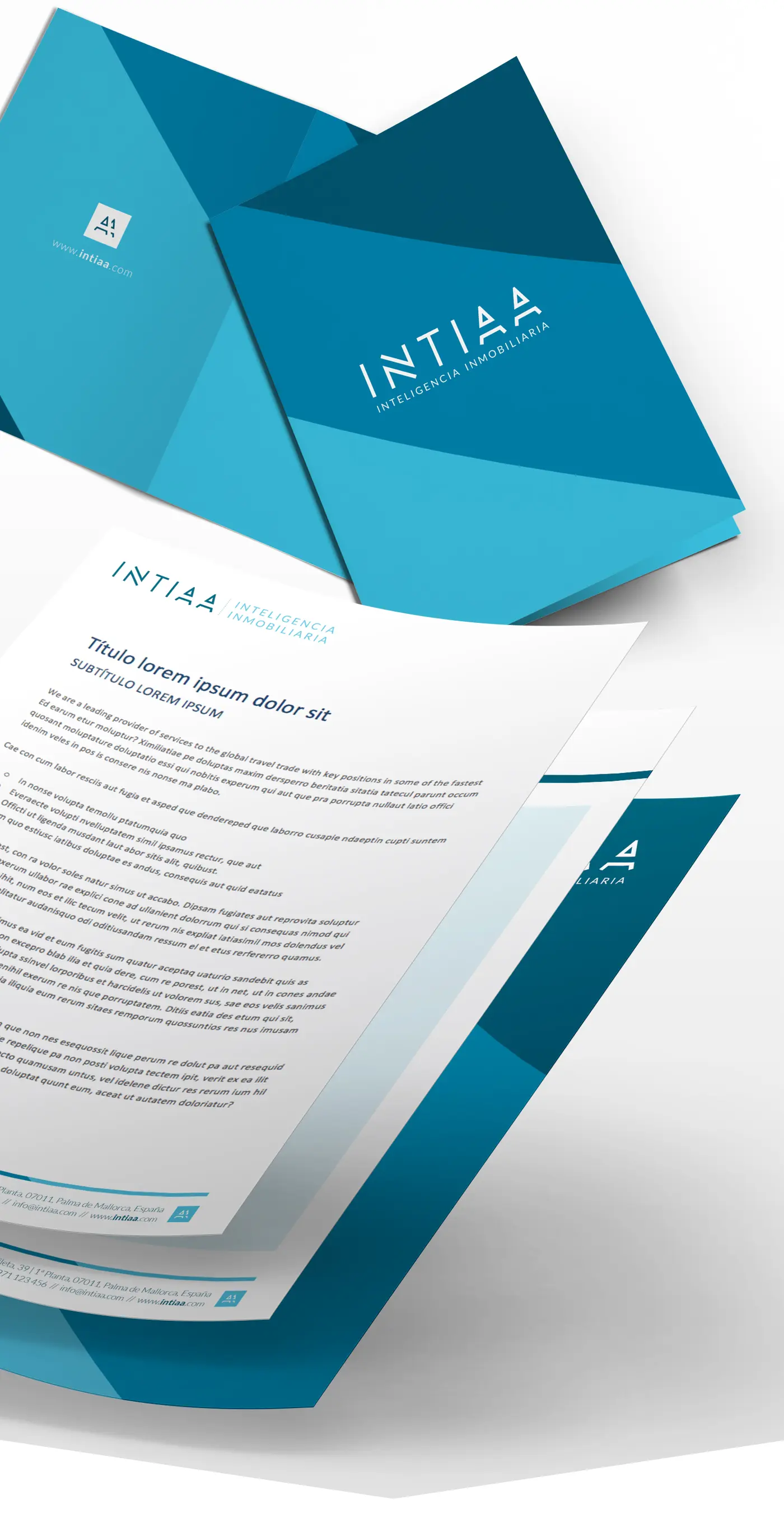 Web de Intiaa Inteligencia Inmobiliaria