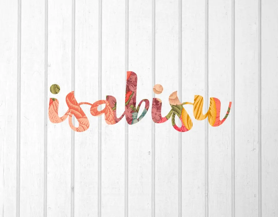 Brand Identity for Isabisu