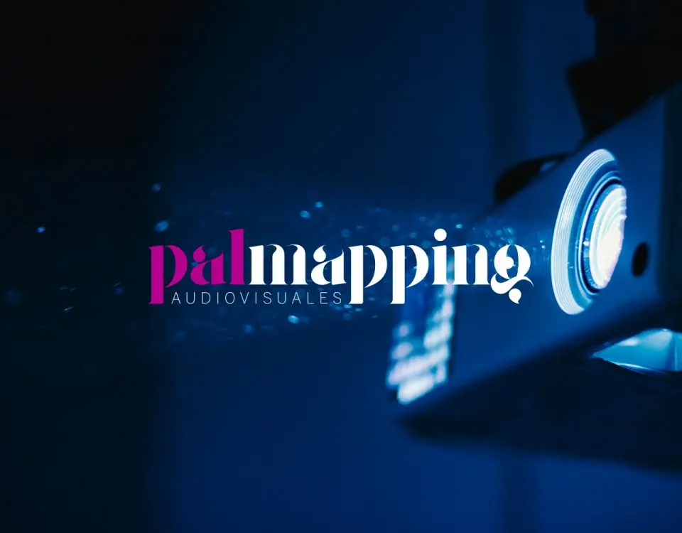 Brand Identity for Palmapping