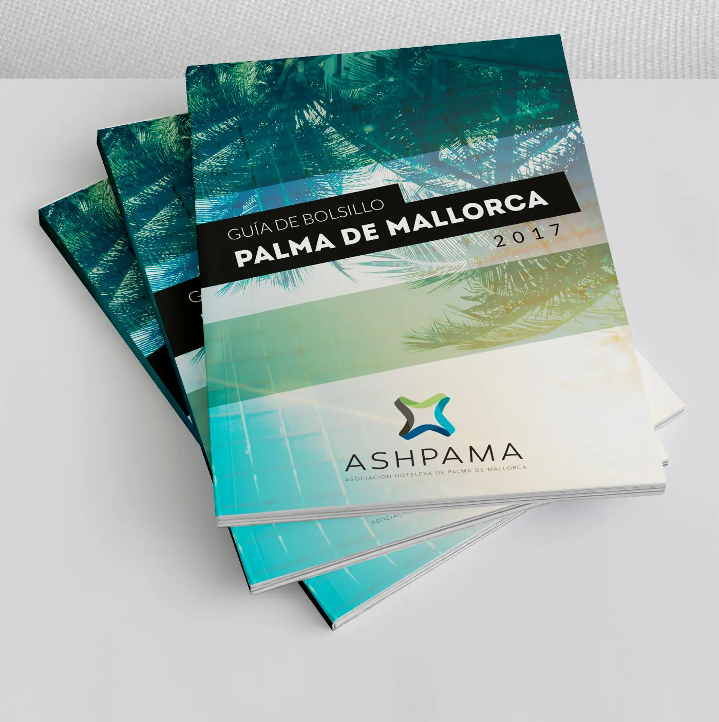 Resultado final de la identidad de ASHPAMA