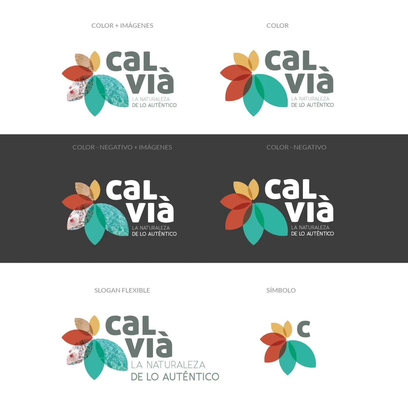 Variantes del logotipo floral de Calvià en color, negativo y símbolo suelto