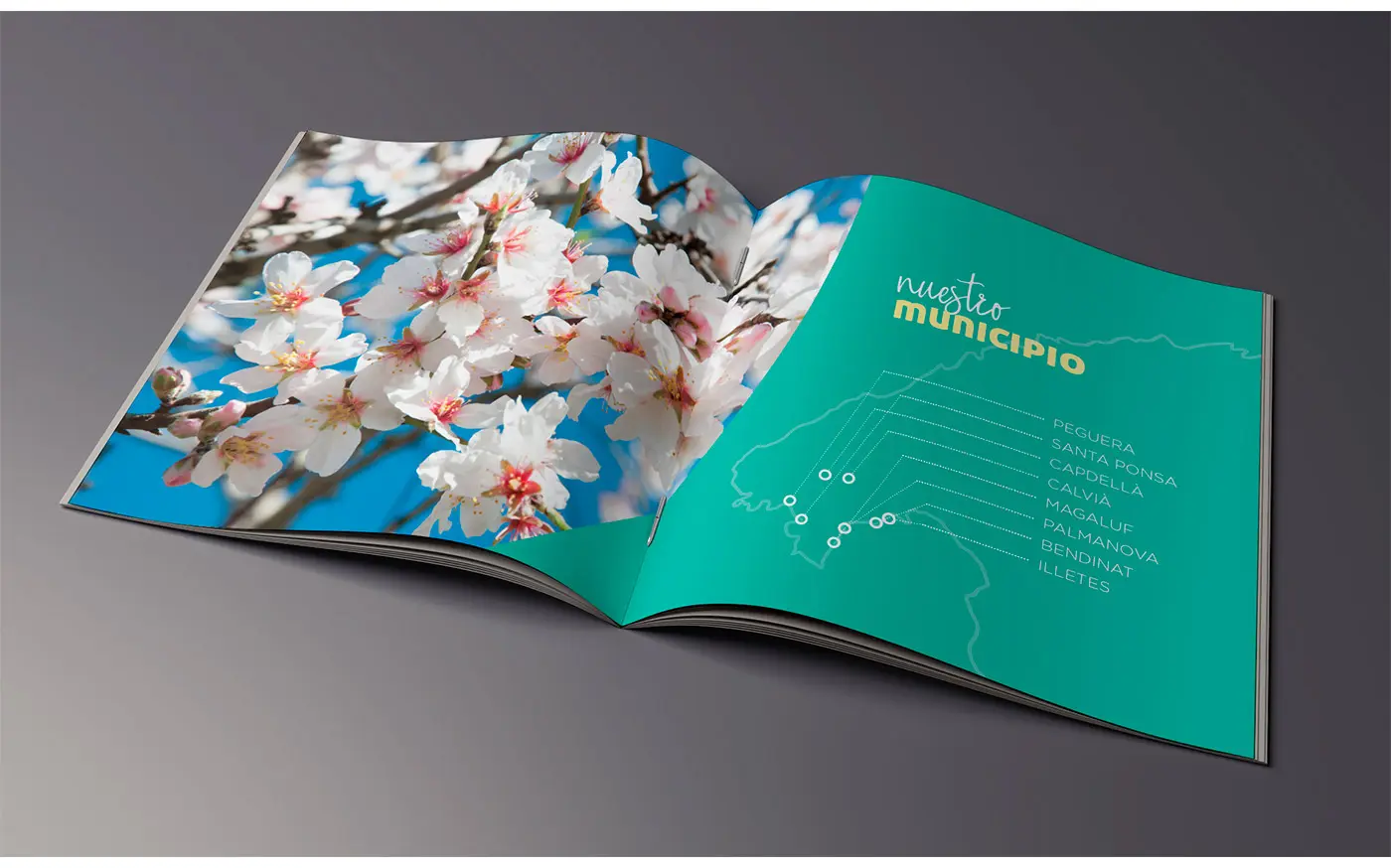 Doble página del folleto con flores de almendro y mapa del municipio