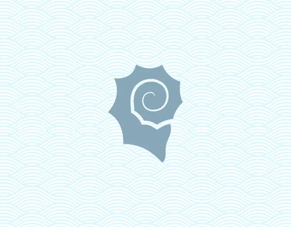 Web Design for Escuela Infantil Caracola