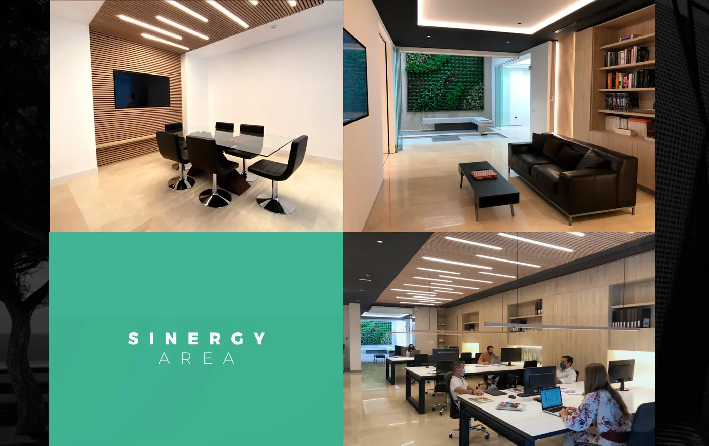 Resultat final del projecte Homey Group