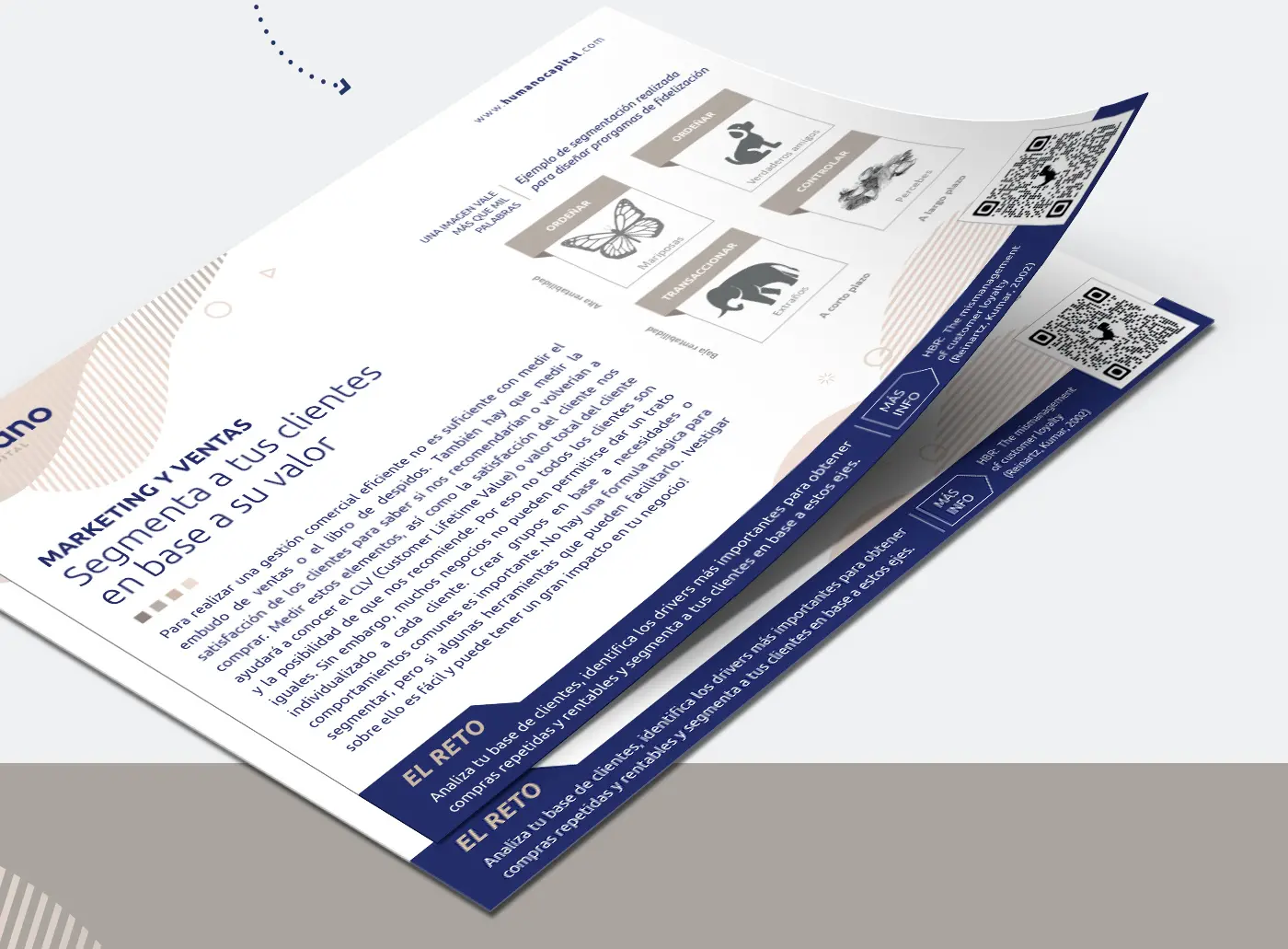 Identidad de marca de Humano Capital aplicada