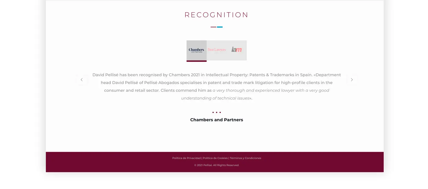 Brand identity applied to the Pellisé website