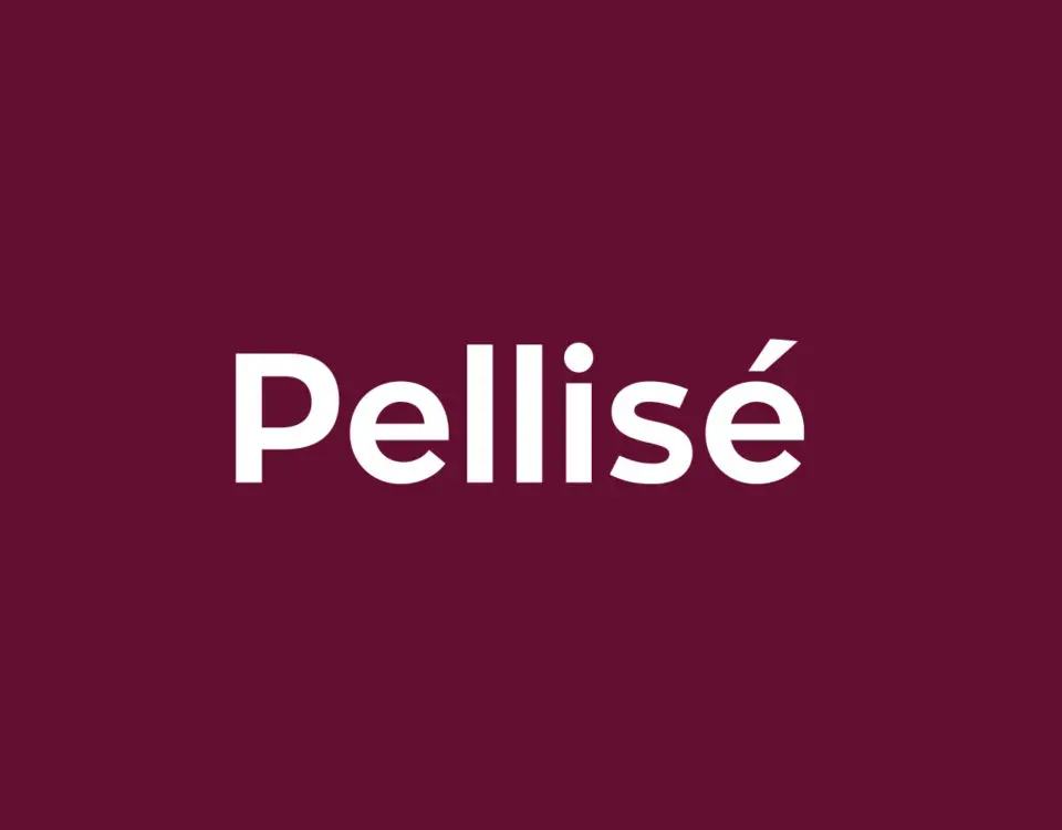 Brand Identity for Pellisé