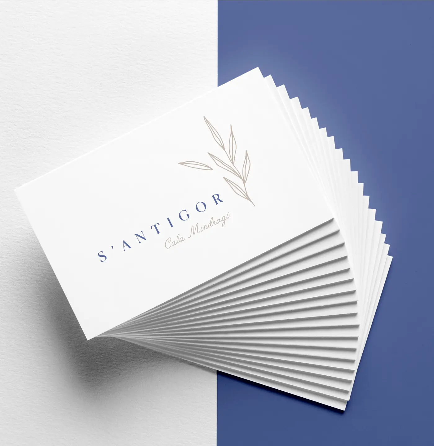S'Antigor identity applied