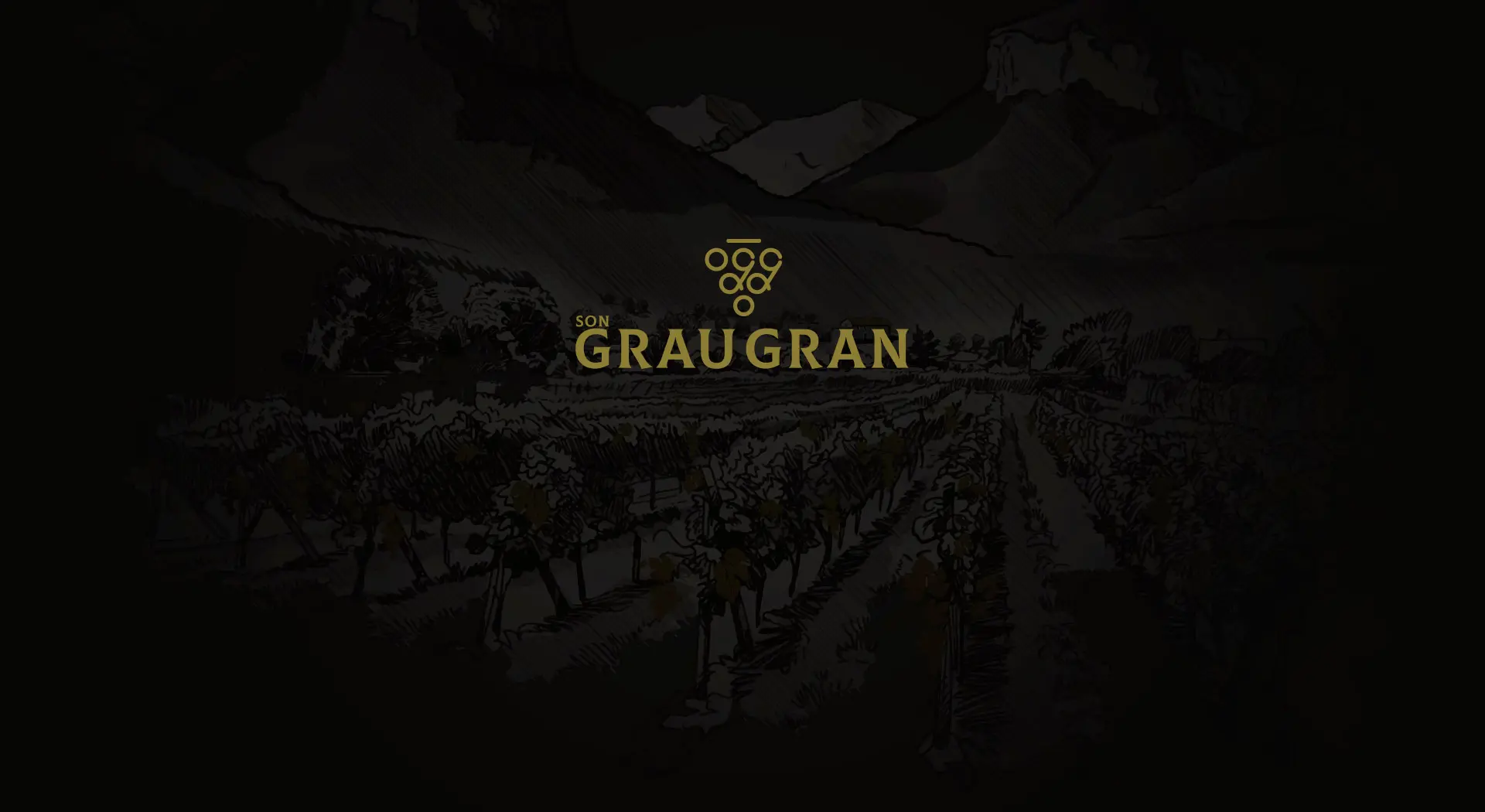 Una web tan cuidada como el vino que presenta.