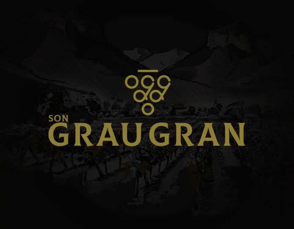 Web Design for Son Grau Gran