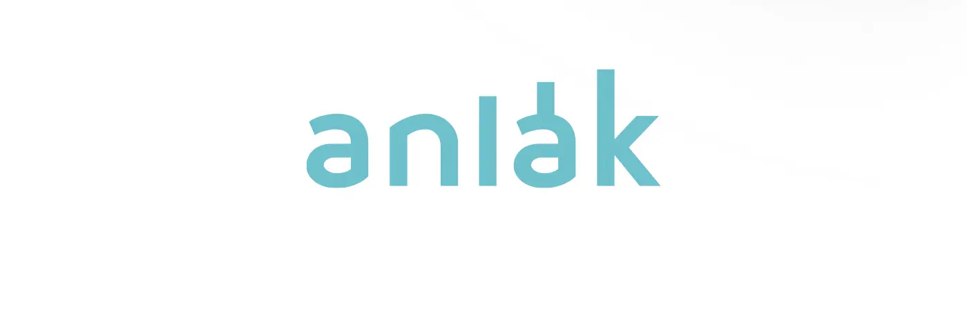 Anlak's brand identity