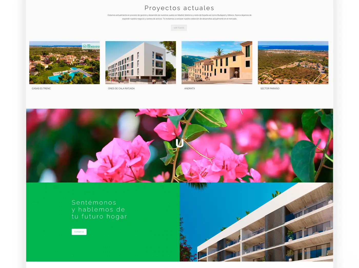 Sección de proyectos actuales sobre fondo de flores rosas y llamada de contacto en verde