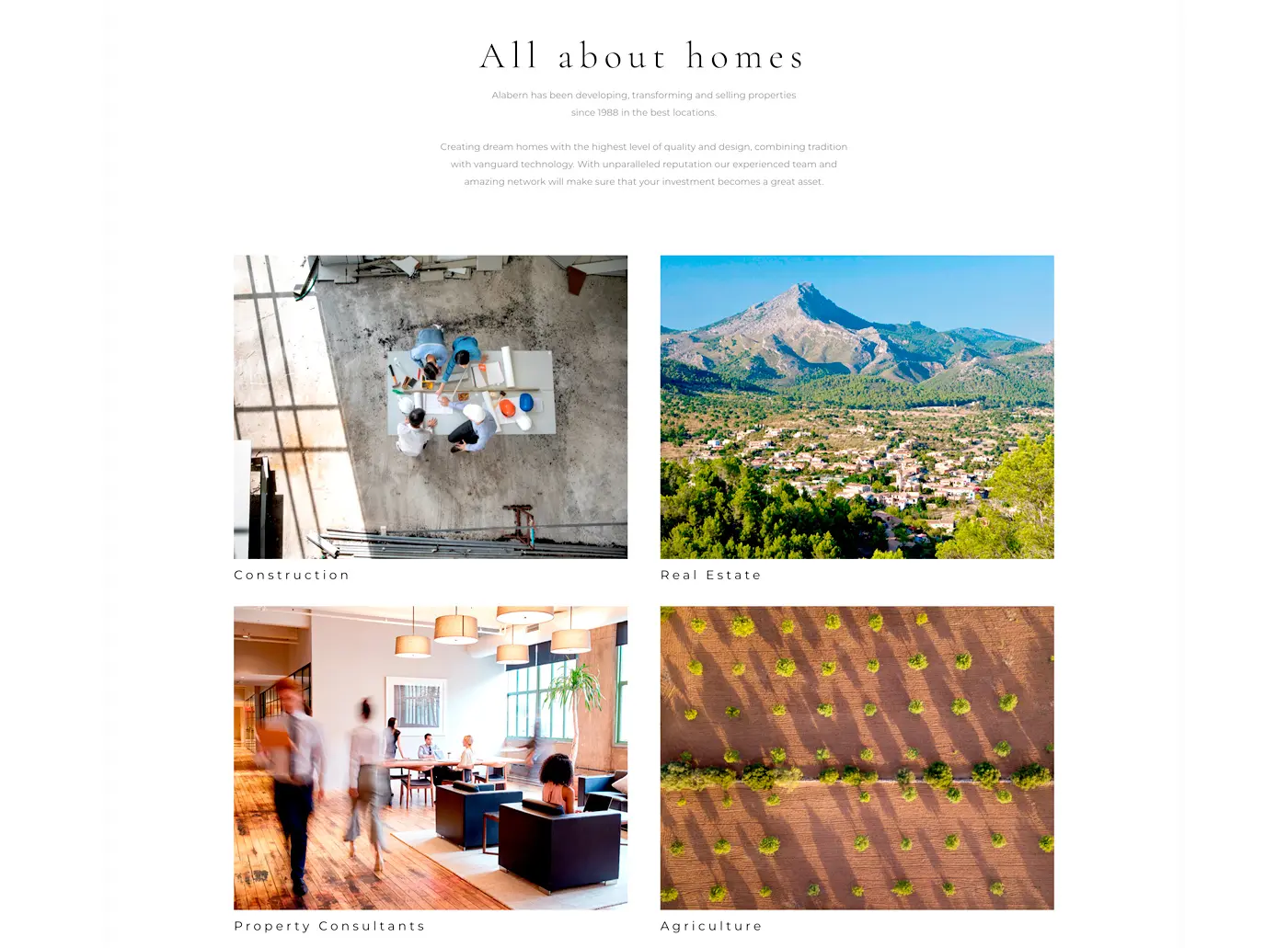 Sección con cuatro fotografías: construcción, real estate, consultoría y agricultura