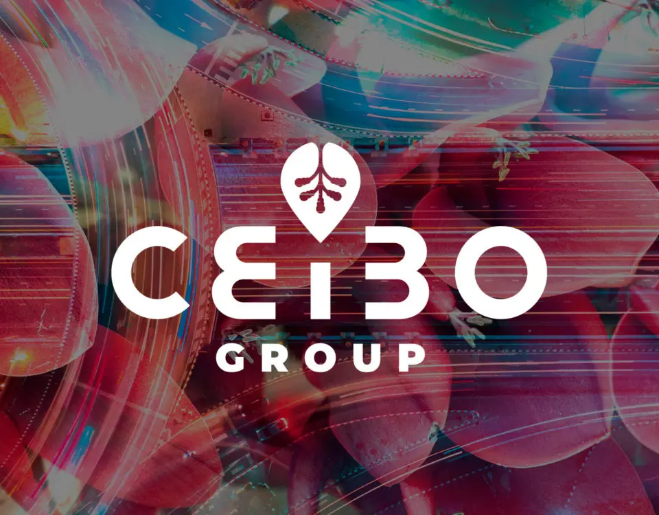 Brand Identity for Ceibo