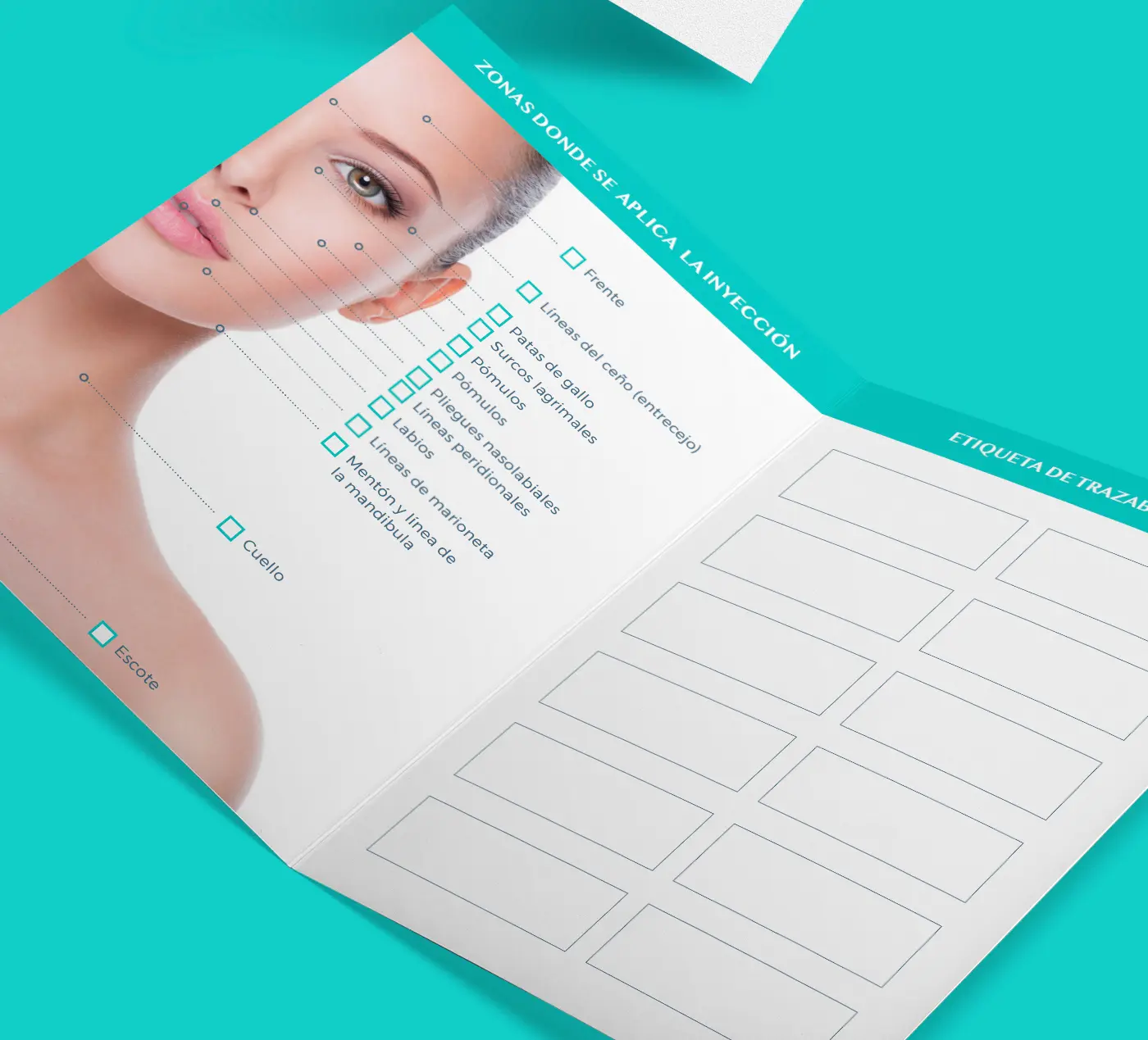 Díptico desplegable con diagrama facial de zonas de tratamiento