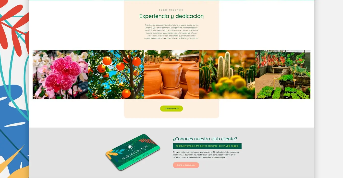Vista completa de la web de Jardín de Llucmajor