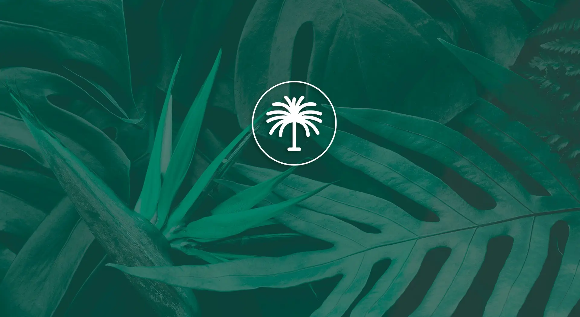 Un centro de jardinería con una web tan viva como sus propios jardines.