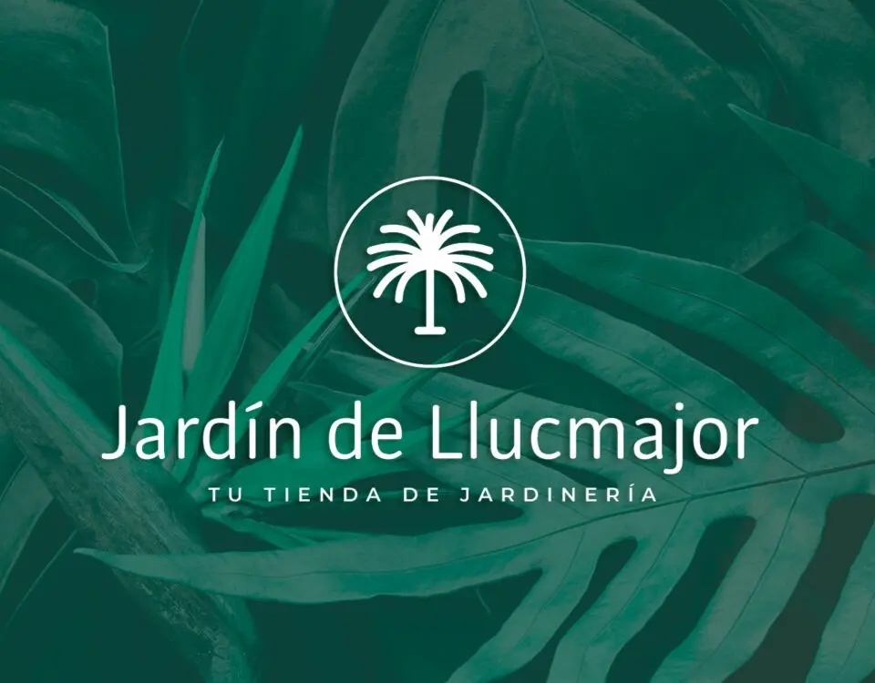 Web Design for Jardín de Llucmajor