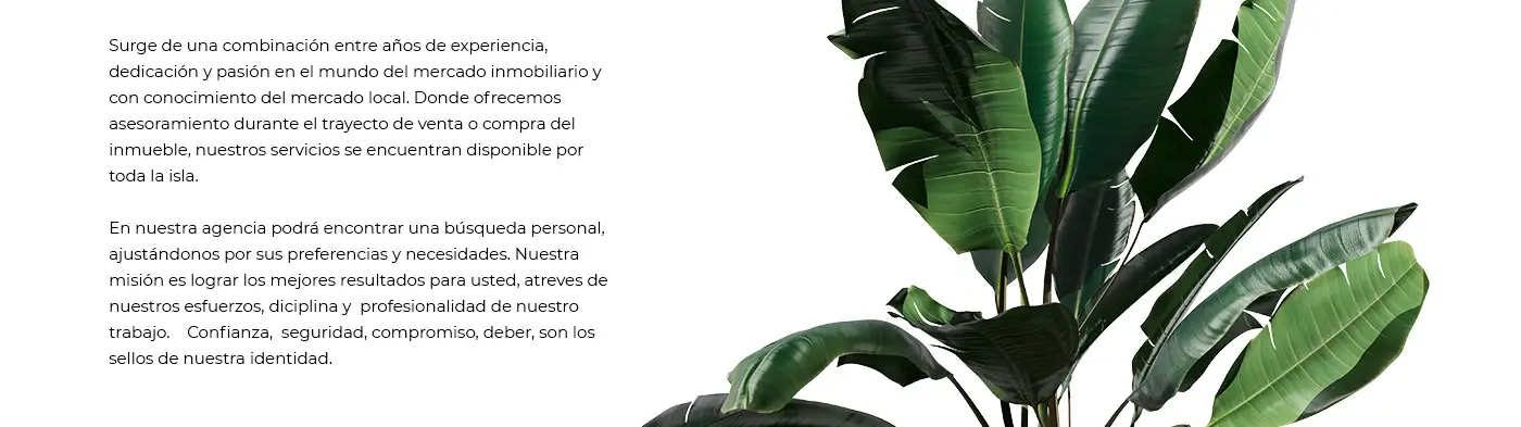 Text about the company's philosophy next to a tropical plant leaf