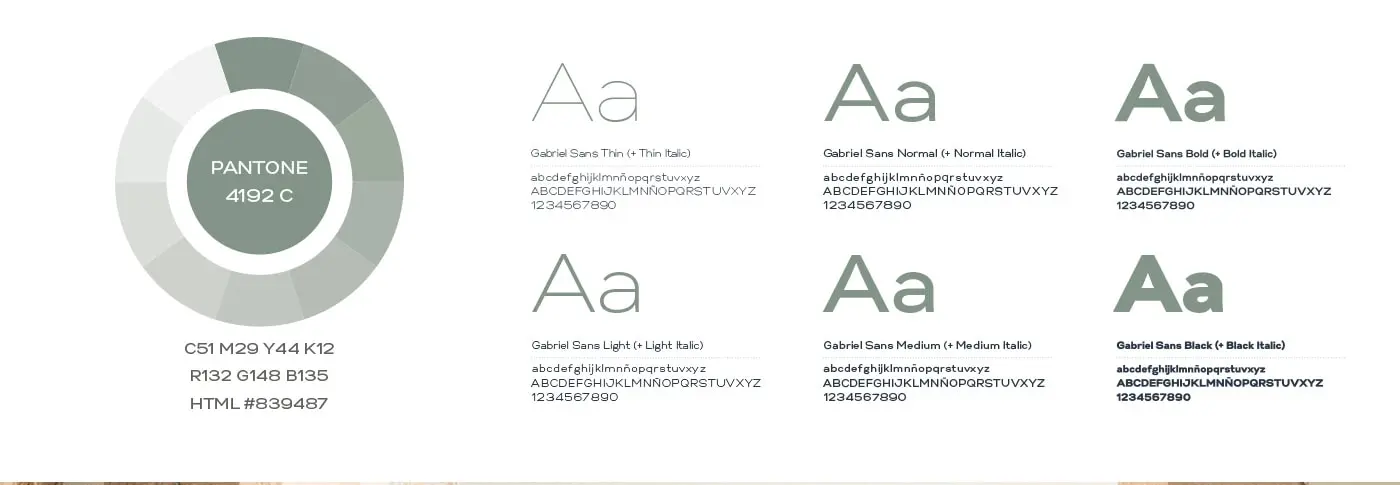 Tarjetas de visita verde salvia con el logotipo y datos de contacto