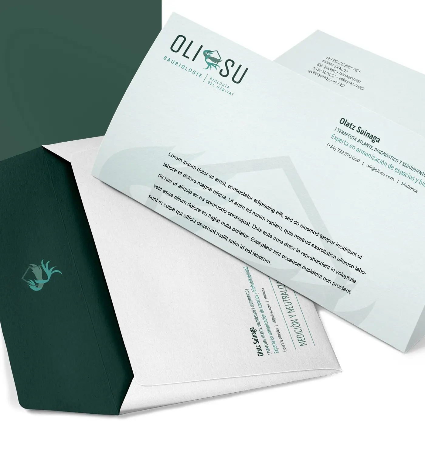 Identidad de marca de OLI-SU Baubiologie