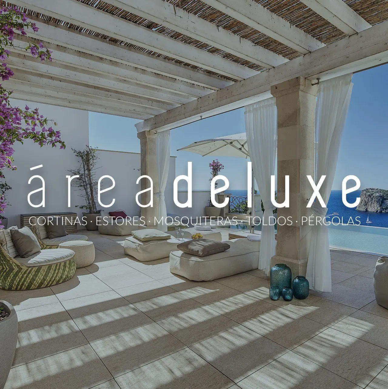 Diseño Web y Desarrollo de Software para Área Deluxe · Web