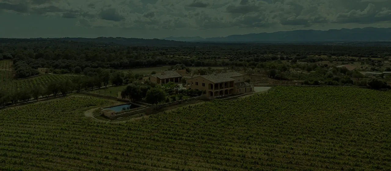 Vino ecológico que nace de la tierra de Sineu y respira Mediterráneo.