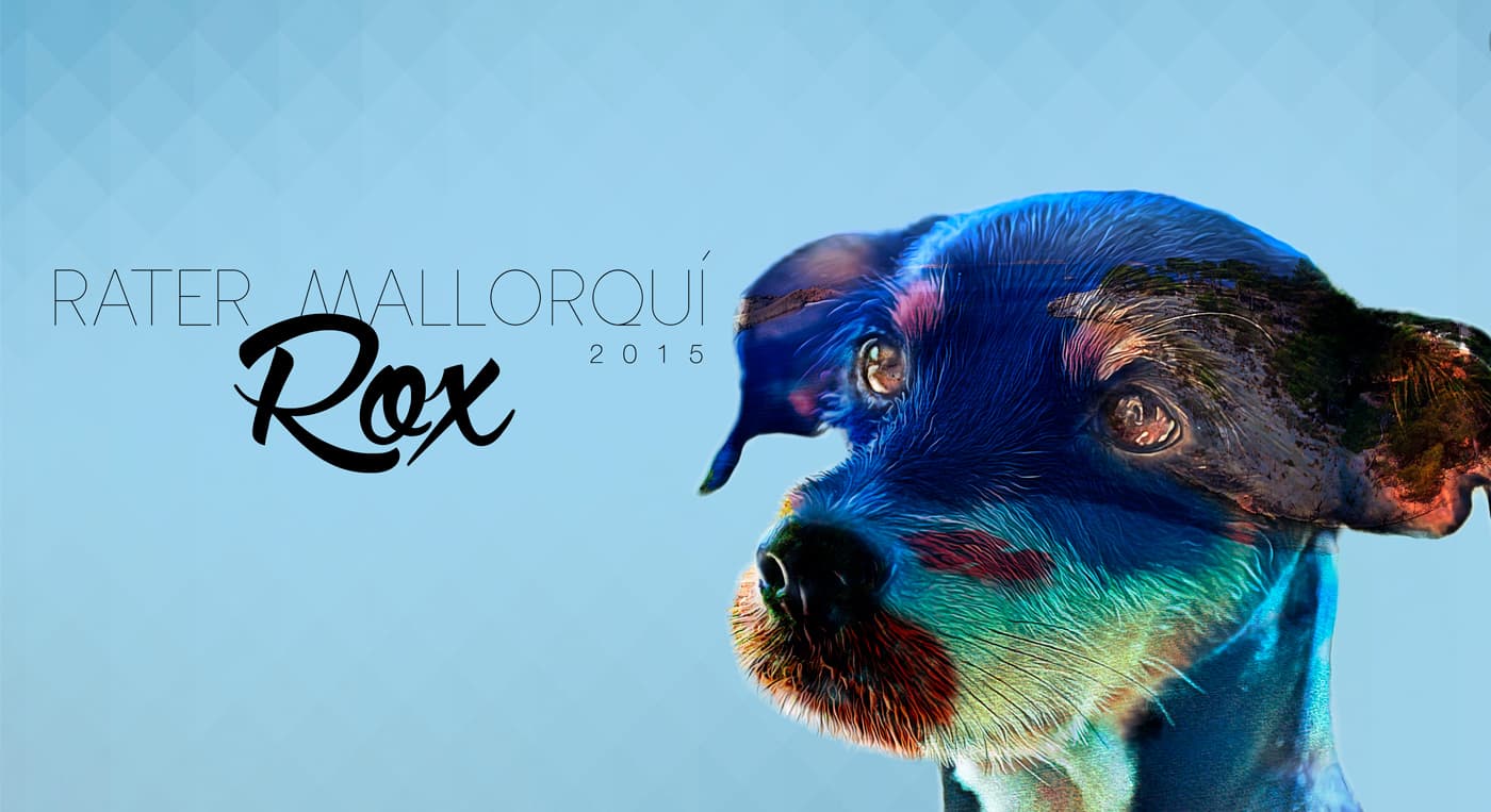 Doble exposición del perro Rox en tonos azules con paisaje superpuesto