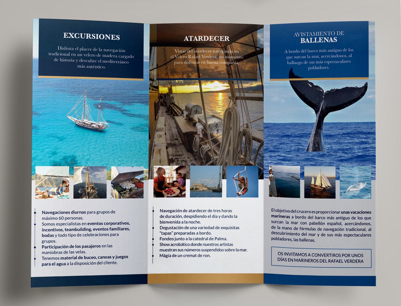 Interior del tríptic amb les seccions Excursions, Posta de sol i Observació de balenes