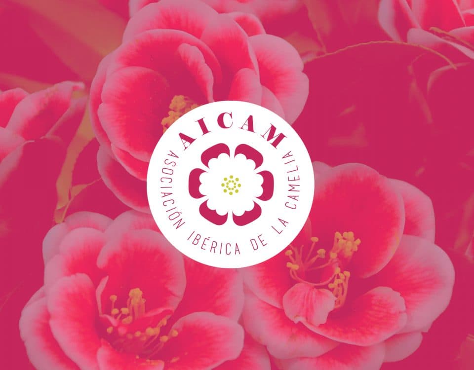 Identitat de Marca per a AICAM