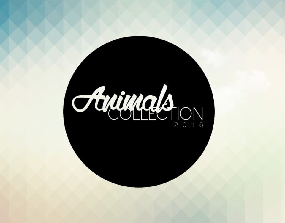Disseny Gràfic per a Animals Collection