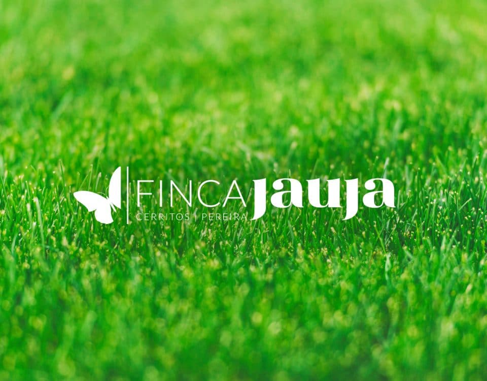 Identitat de Marca per a Finca Jauja