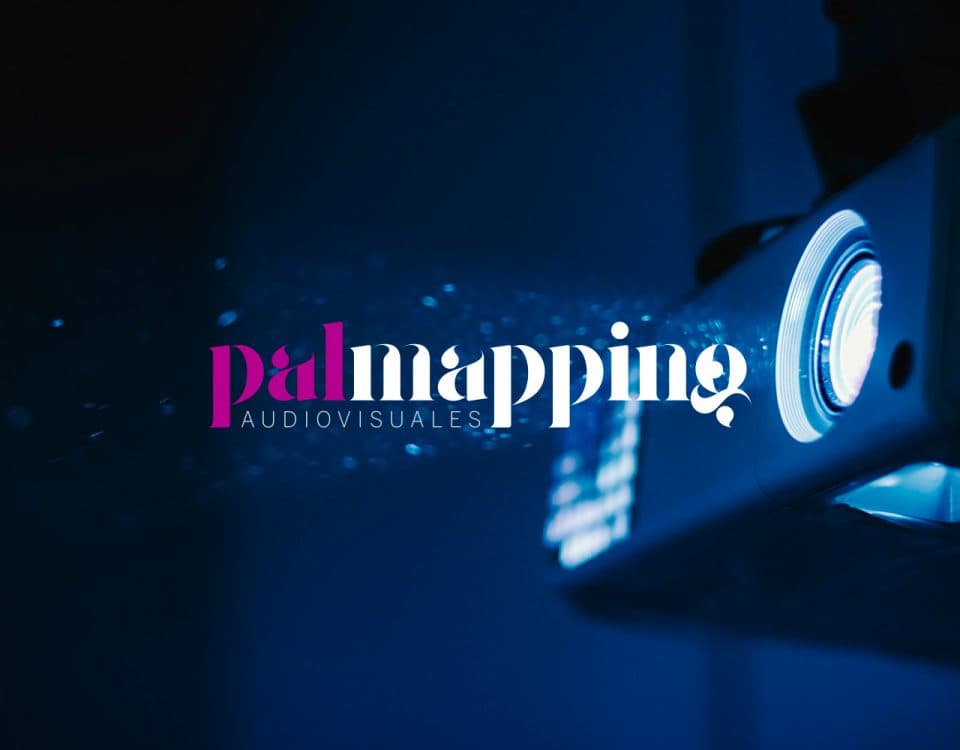 Identitat de Marca per a Palmapping