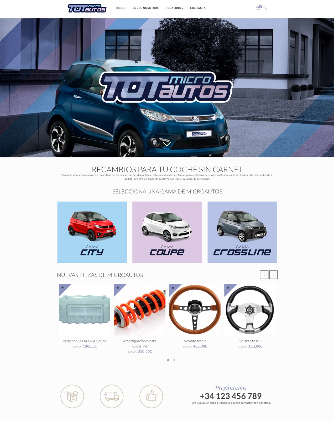 Web de Tot Microautos