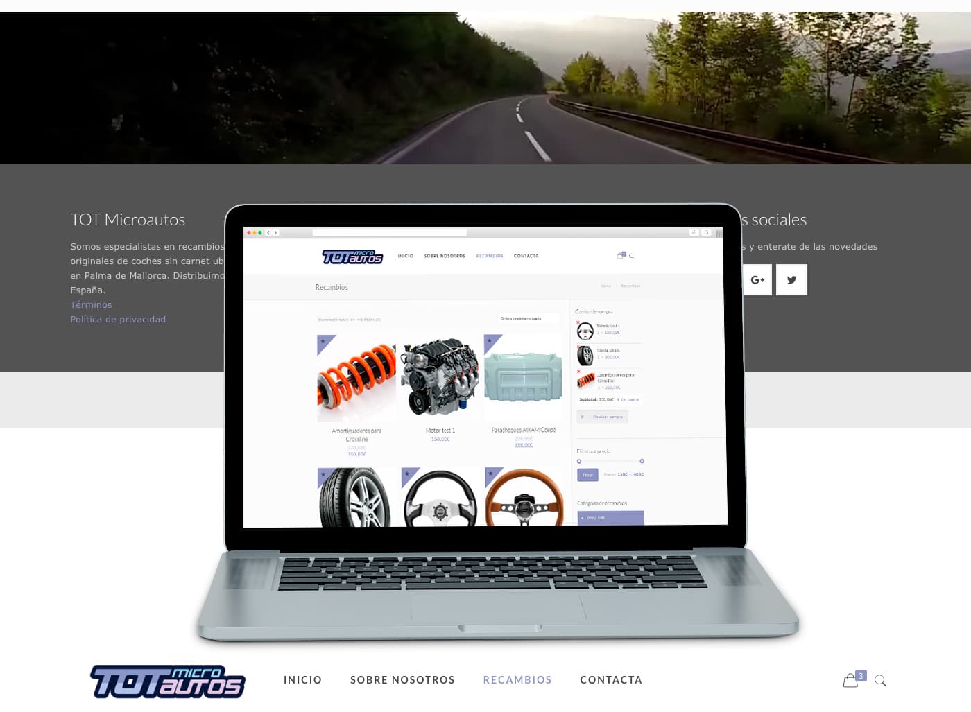 Web de Tot Microautos