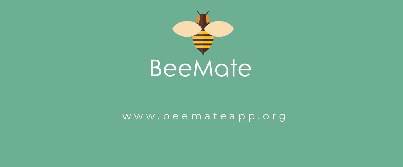 Tarjeta de cierre con el logotipo de BeeMate y la URL de la web sobre fondo verde