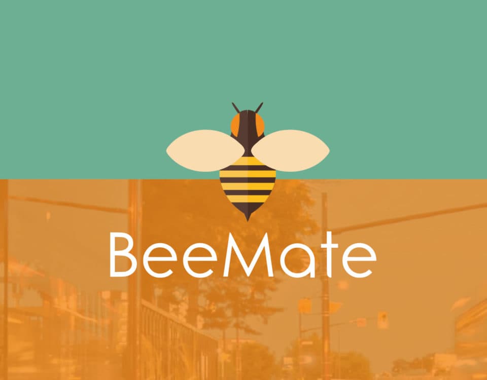Disseny Web per a BeeMate