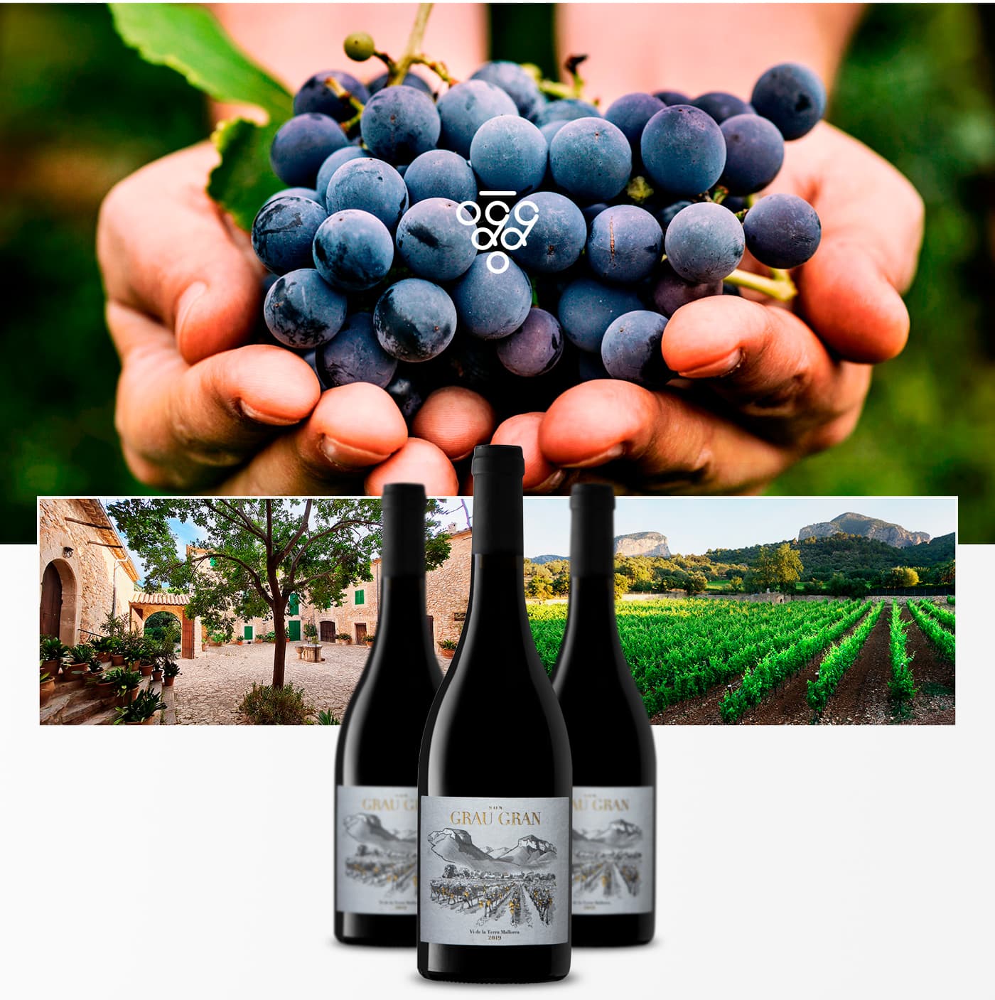 Composición con racimo de uva, patio de la finca y botellas de Son Grau Gran ante la viña