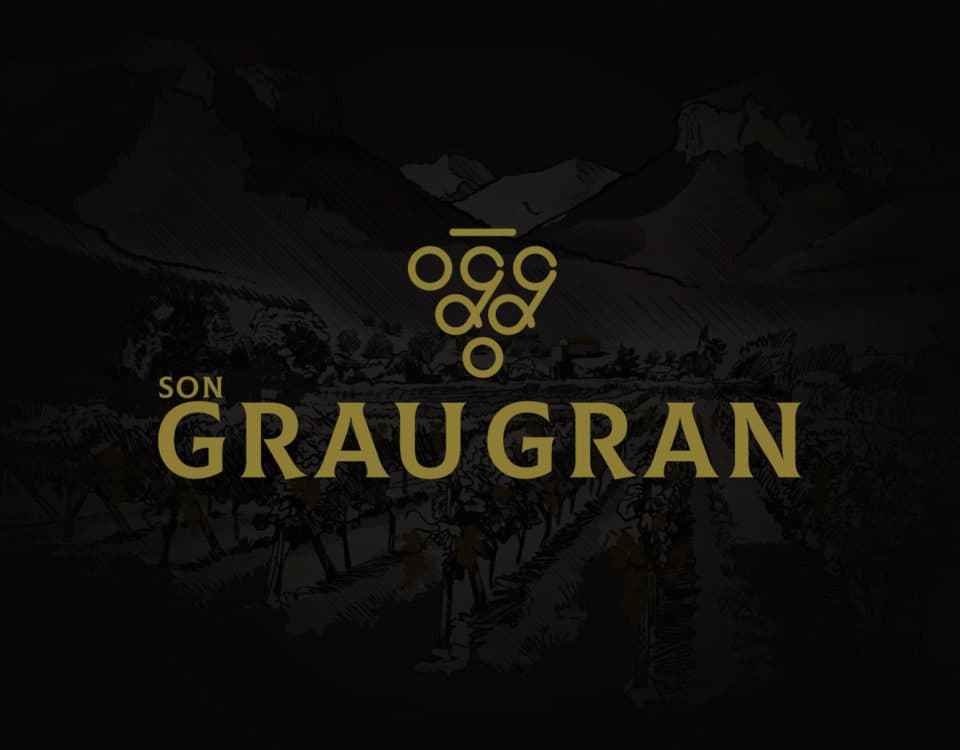 Disseny Web per a Son Grau Gran
