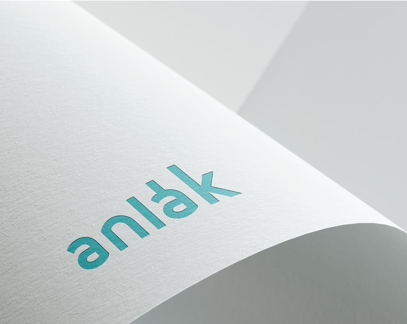 Detalle macro del logotipo de Anlak estampado en papel doblado
