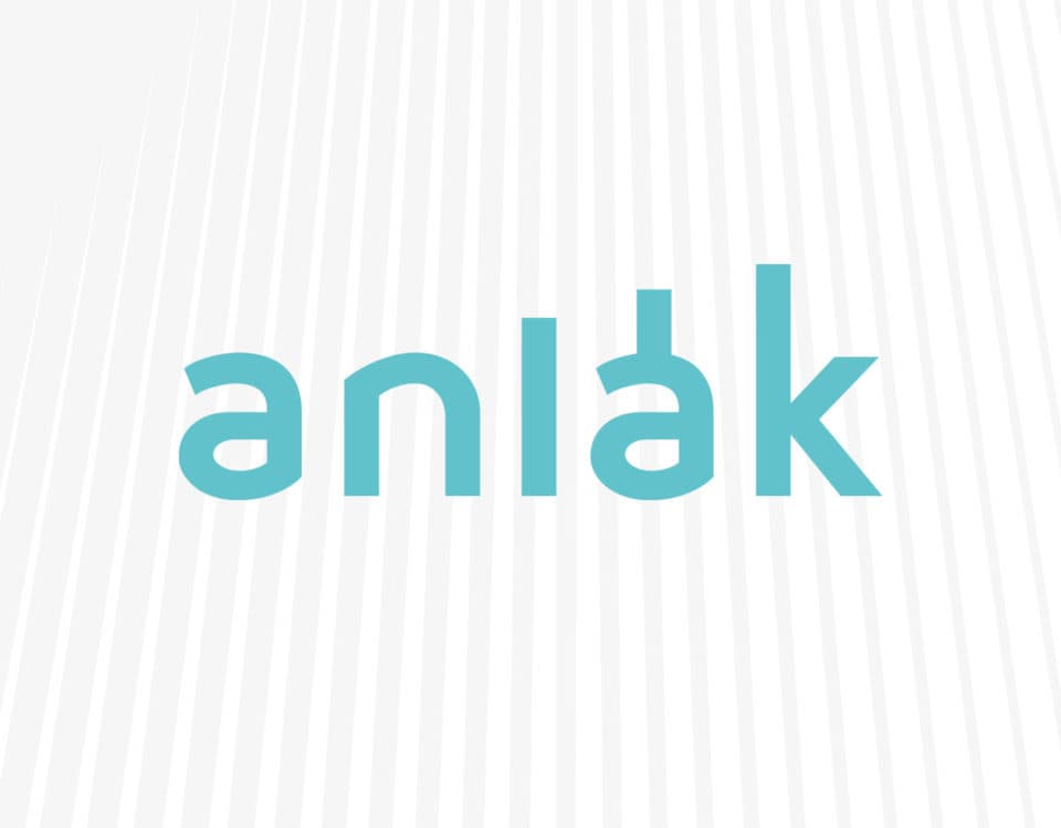 Identitat de Marca per a Anlak