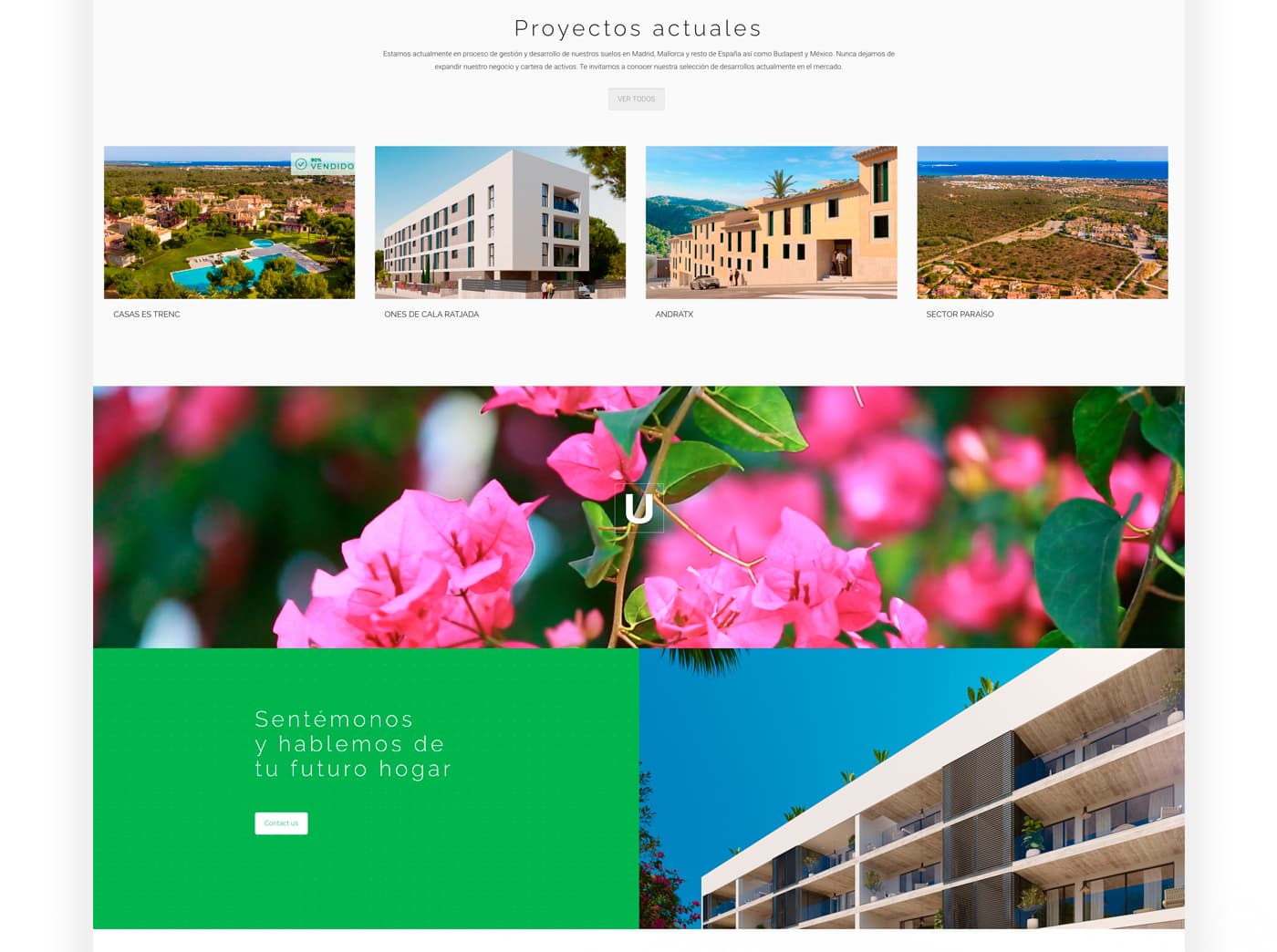 Sección de proyectos actuales sobre fondo de flores rosas y llamada de contacto en verde