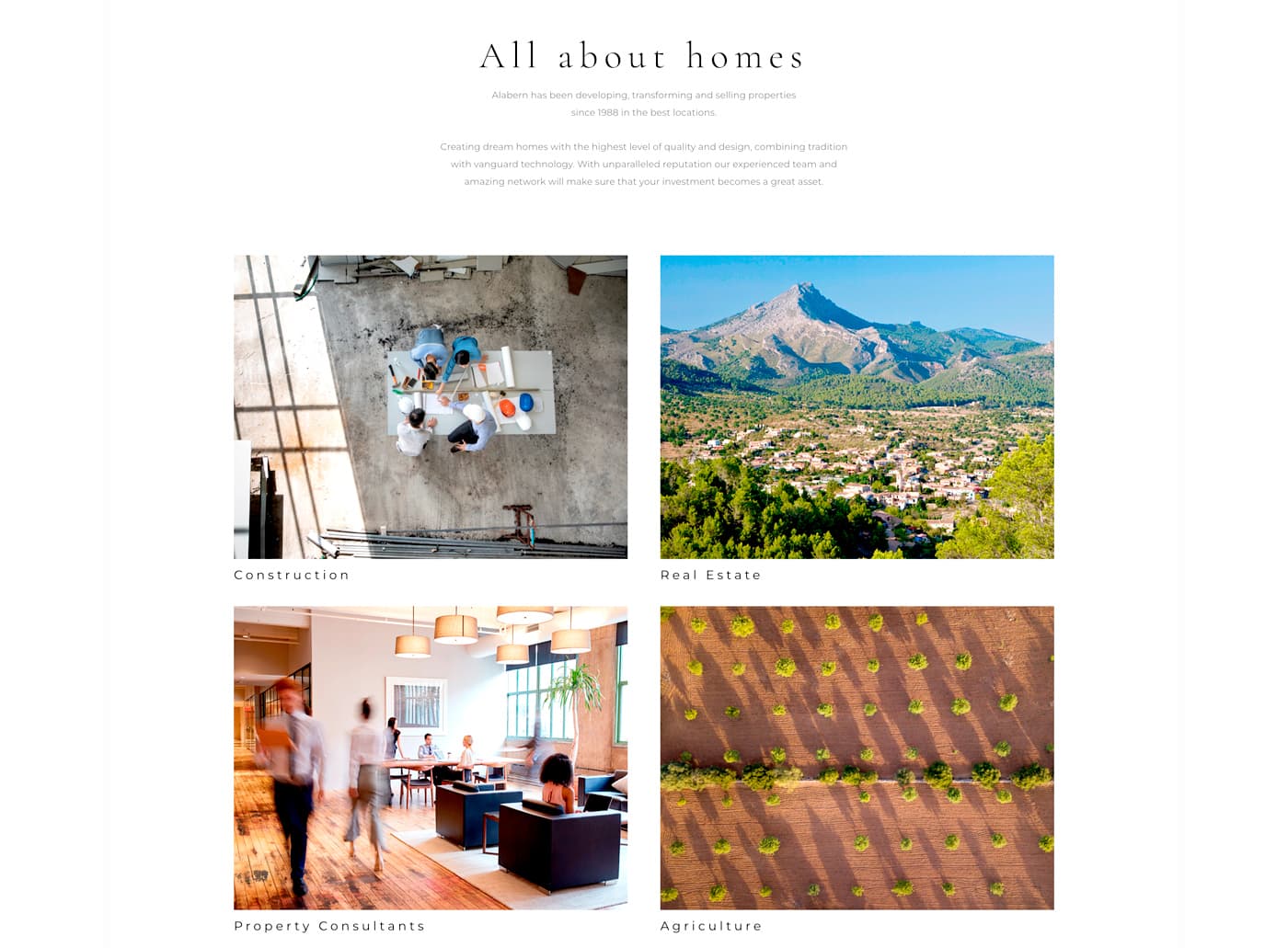 Secció amb quatre fotografies: construcció, real estate, consultoria i agricultura
